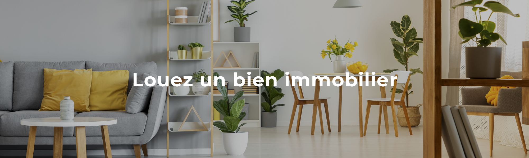 Annonces locations immobilières