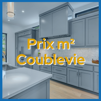 prix immobilier coublevie